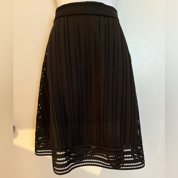 J. Crew Dresses & Skirts - JCrew Black Striped Eyelet Lace Skirt